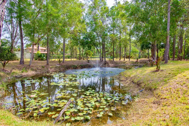 a swimming pool with trees in the background