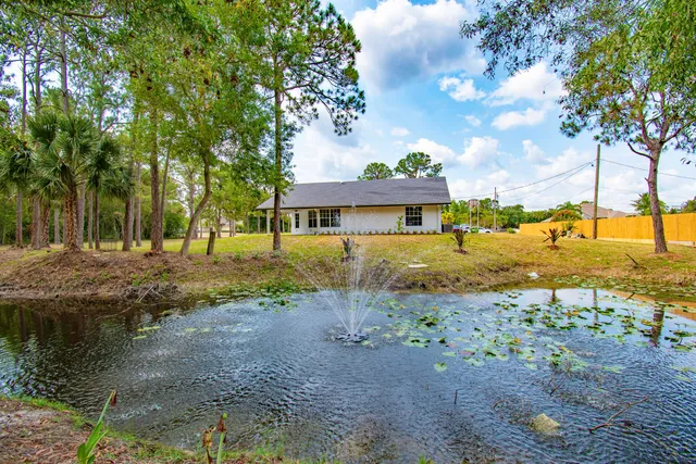 a view of a yard with plants and trees