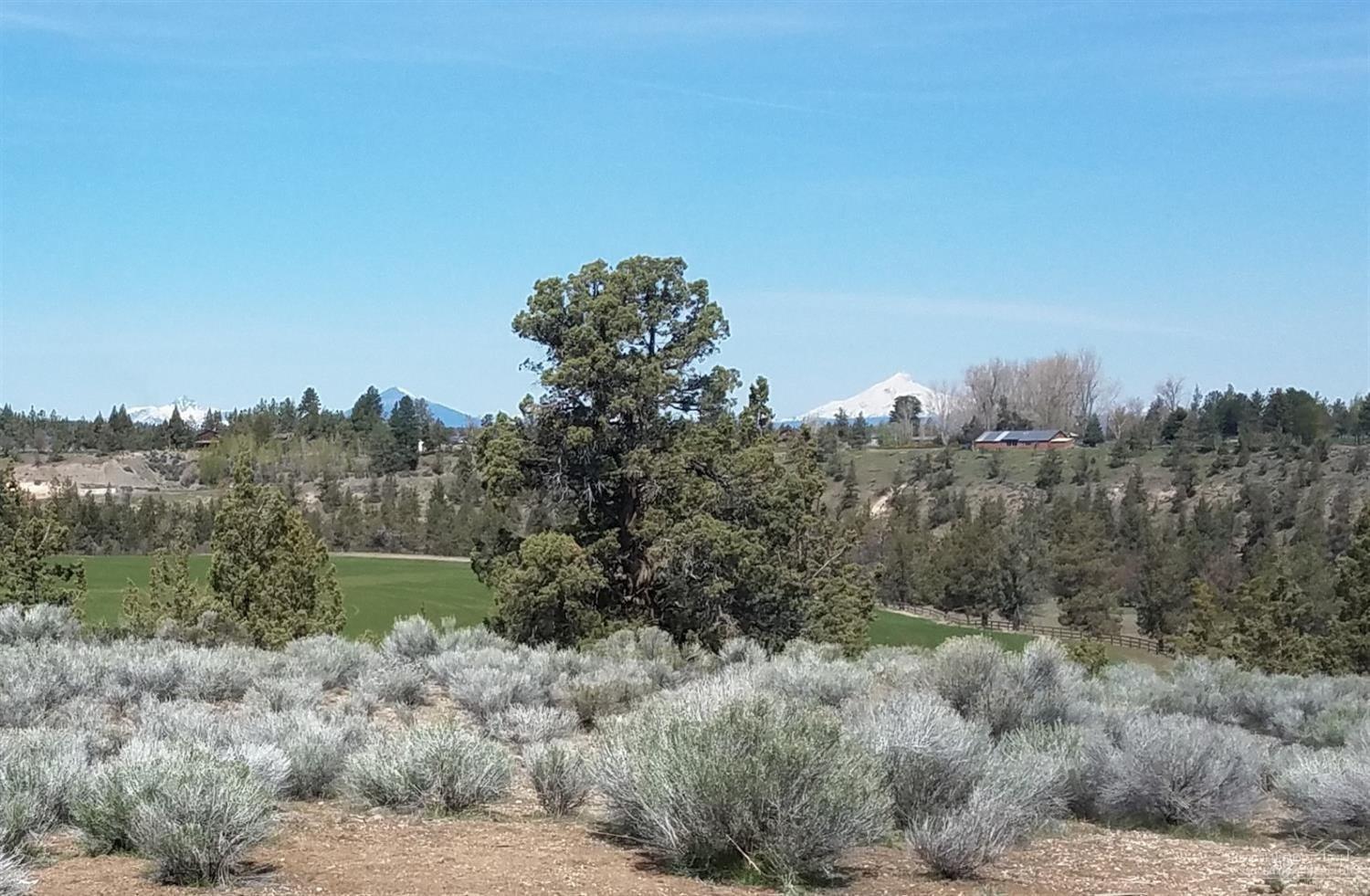 20318 Rock Canyon Road Bend, OR 97703 - Photo 7 of 15 Mt. Jefferson at the horizon as viewed f