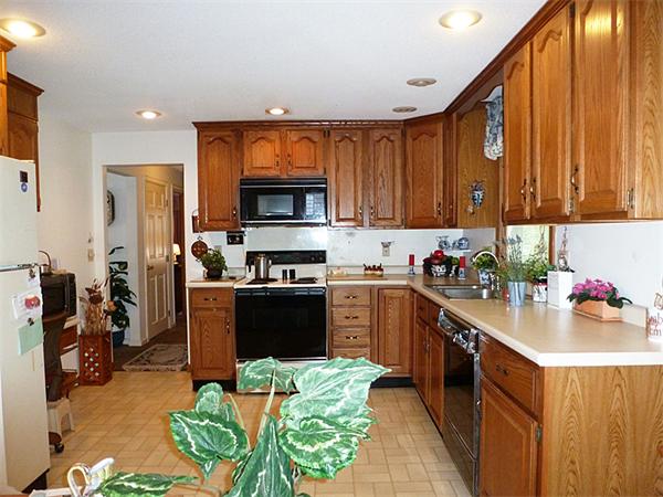 12 Duffy Lane Springfield, MA 01119 - Photo 4 of 24