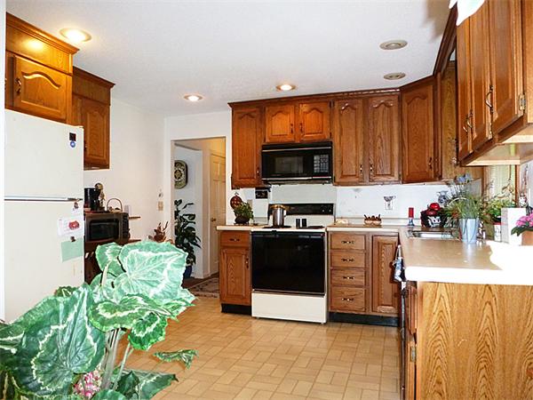 12 Duffy Lane Springfield, MA 01119 - Photo 5 of 24