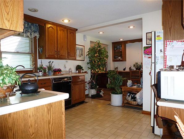 12 Duffy Lane Springfield, MA 01119 - Photo 6 of 24