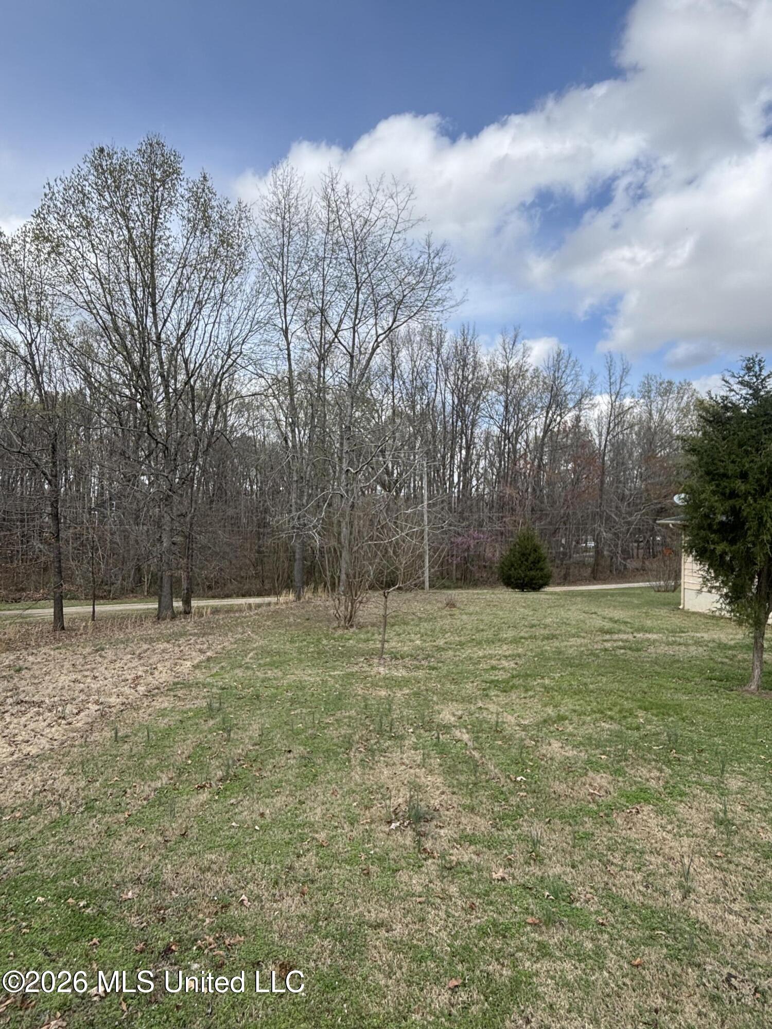 211 Oak Road Byhalia, MS 38611 - Photo 14 of 49 1-44.5