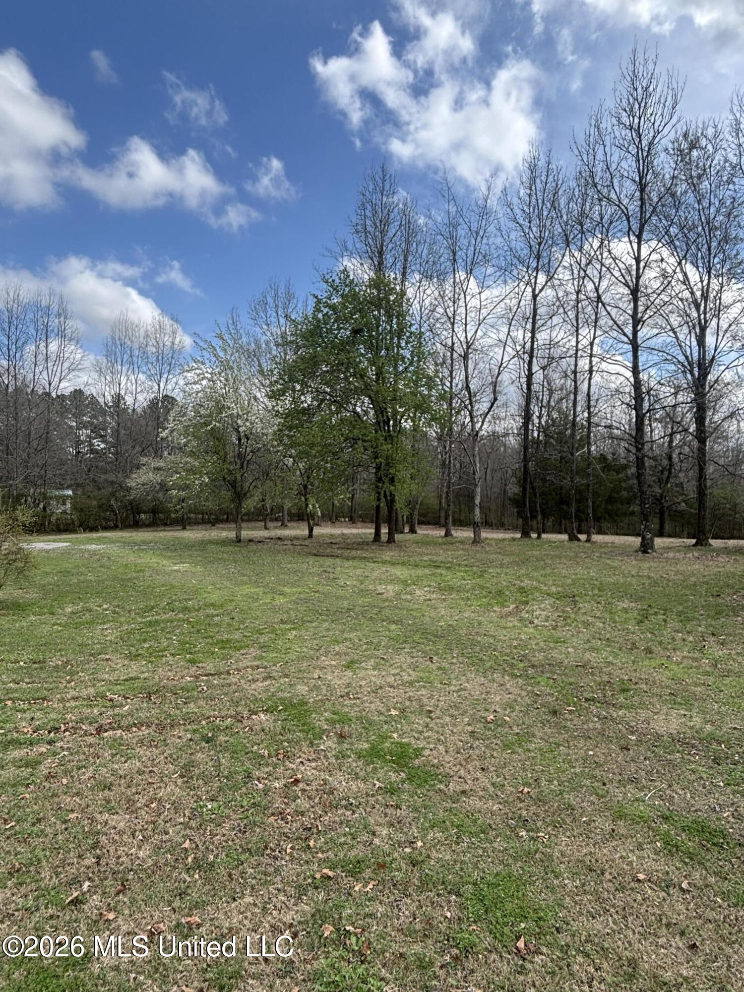 211 Oak Road Byhalia, MS 38611 - Photo 15 of 49 1-44