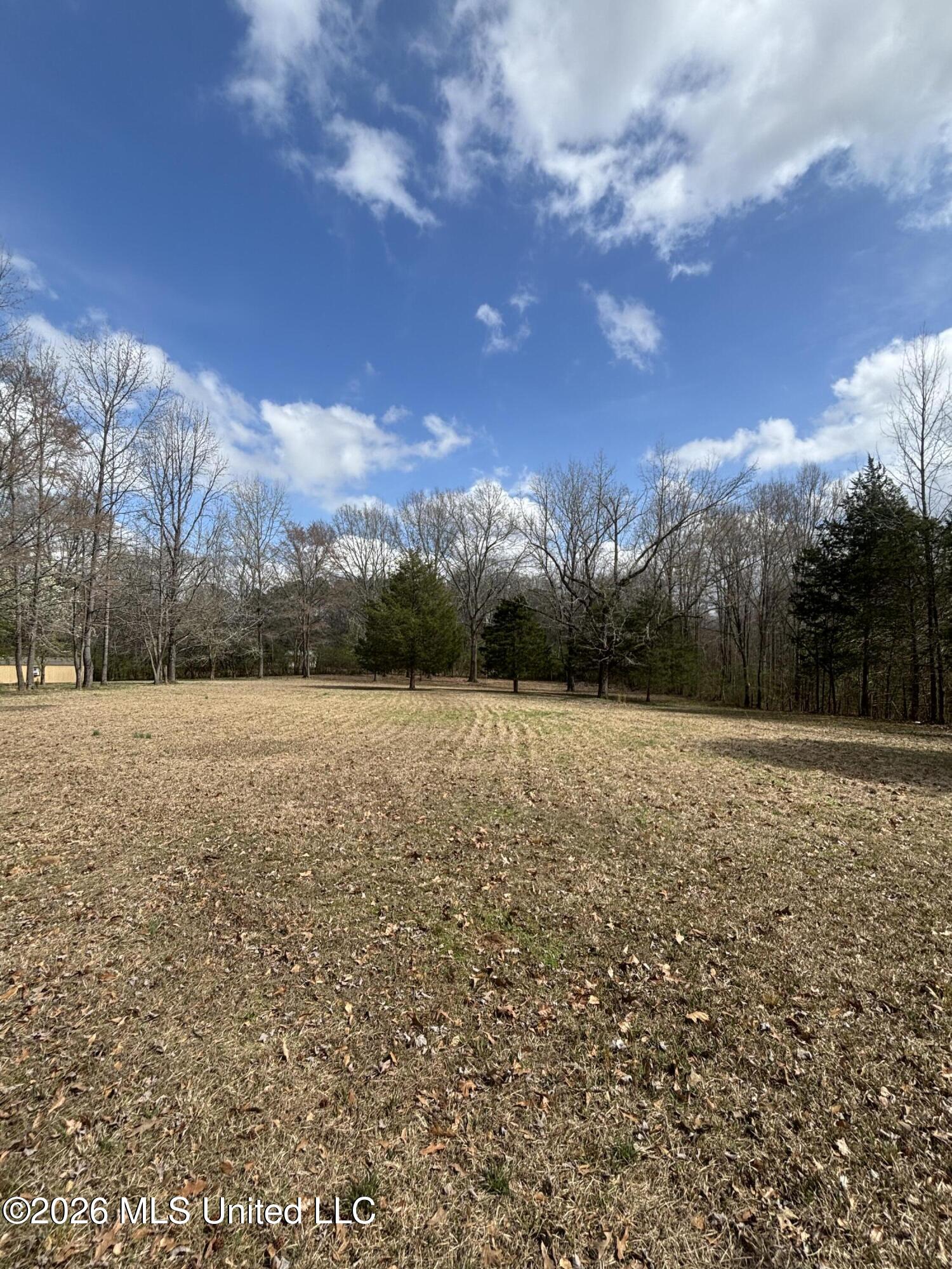 211 Oak Road Byhalia, MS 38611 - Photo 16 of 49 1-47