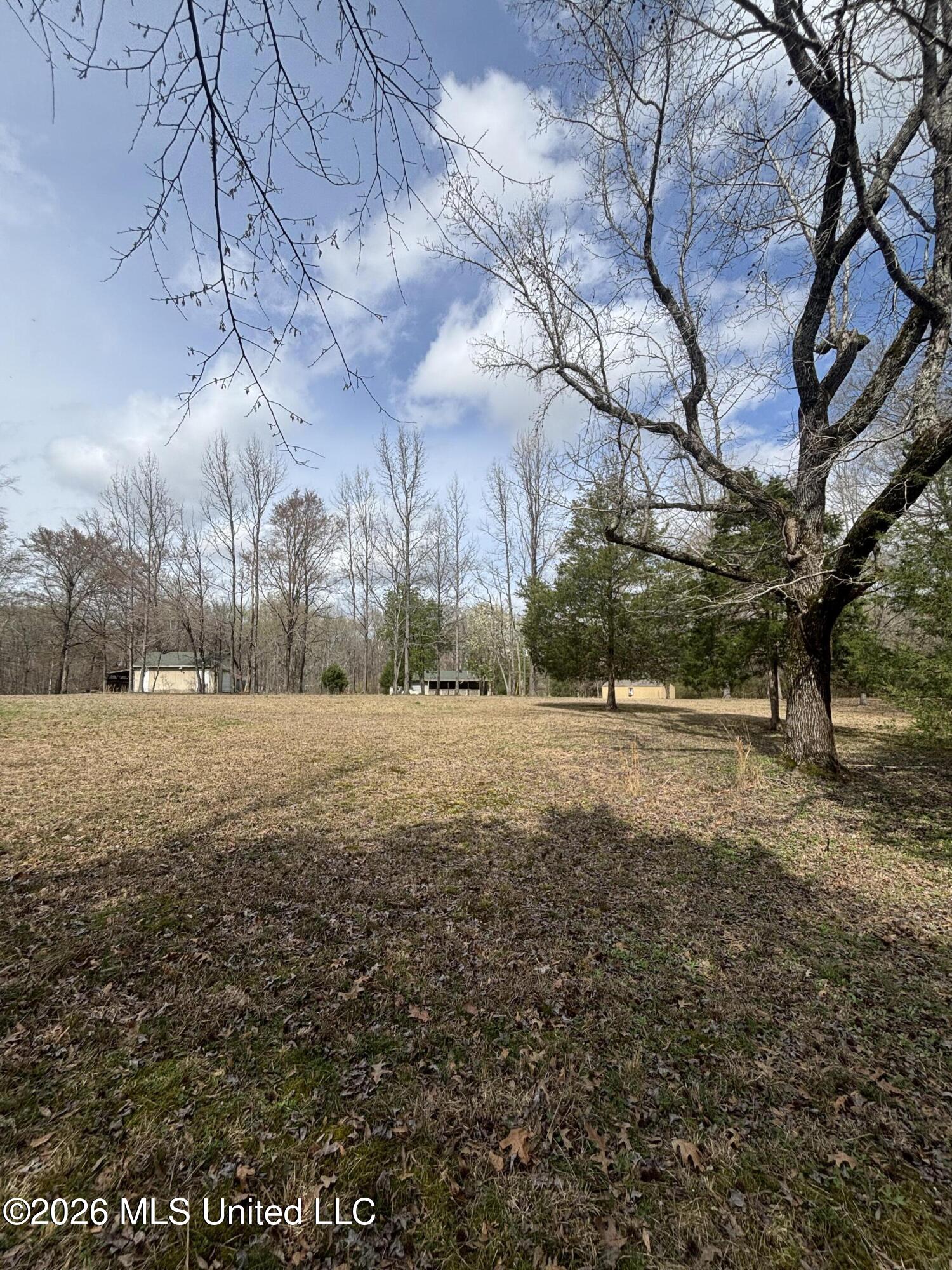 211 Oak Road Byhalia, MS 38611 - Photo 17 of 49 1-50