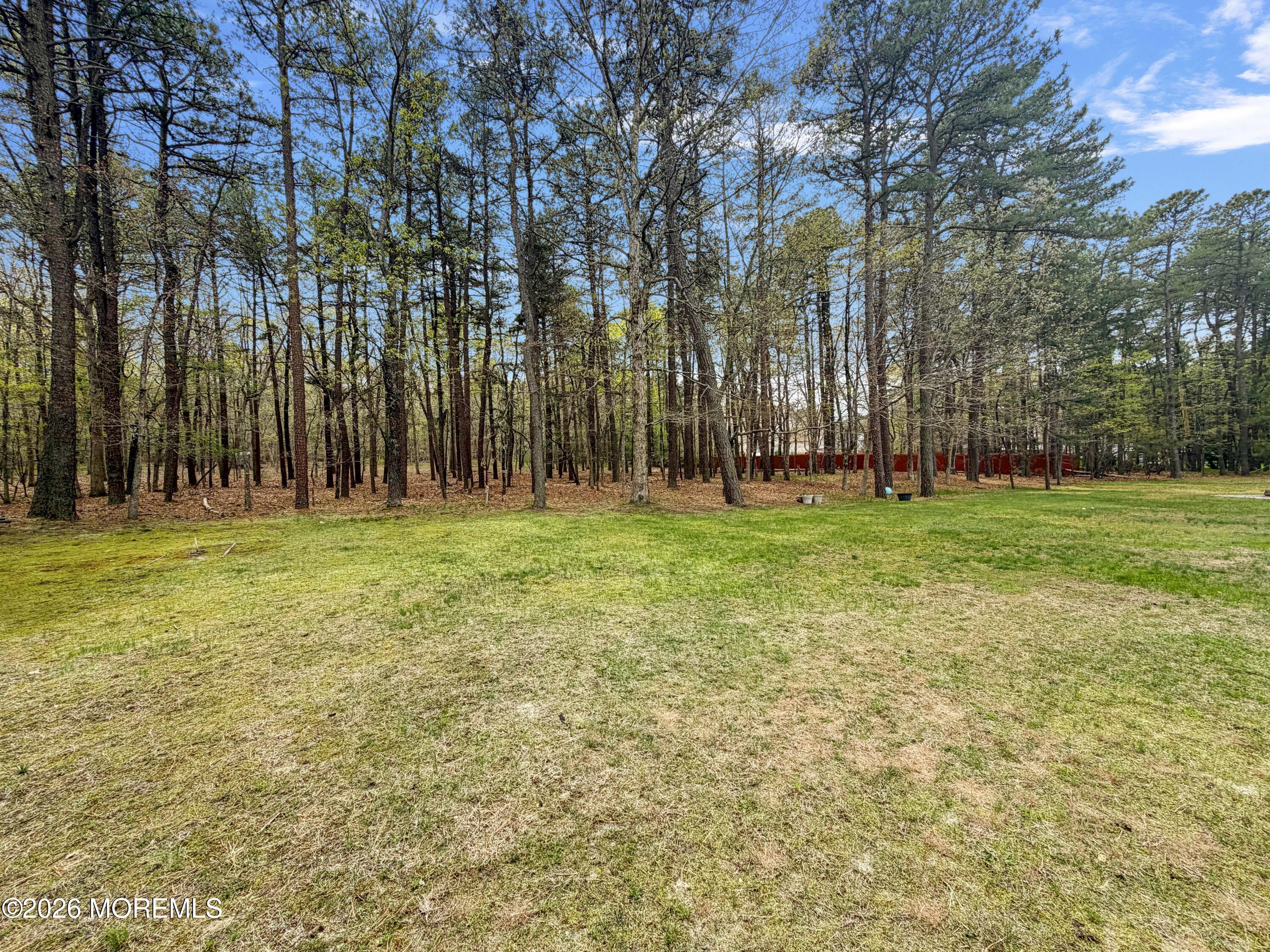 379 East Bird Village Road Jackson, NJ 08527 - Photo 37 of 43 backyard.1
