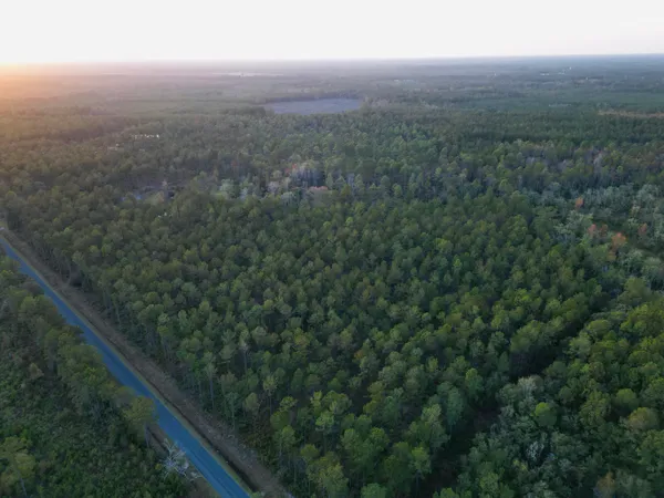 $1,700,000 | 0 Peniel Road, Walterboro, SC 29488