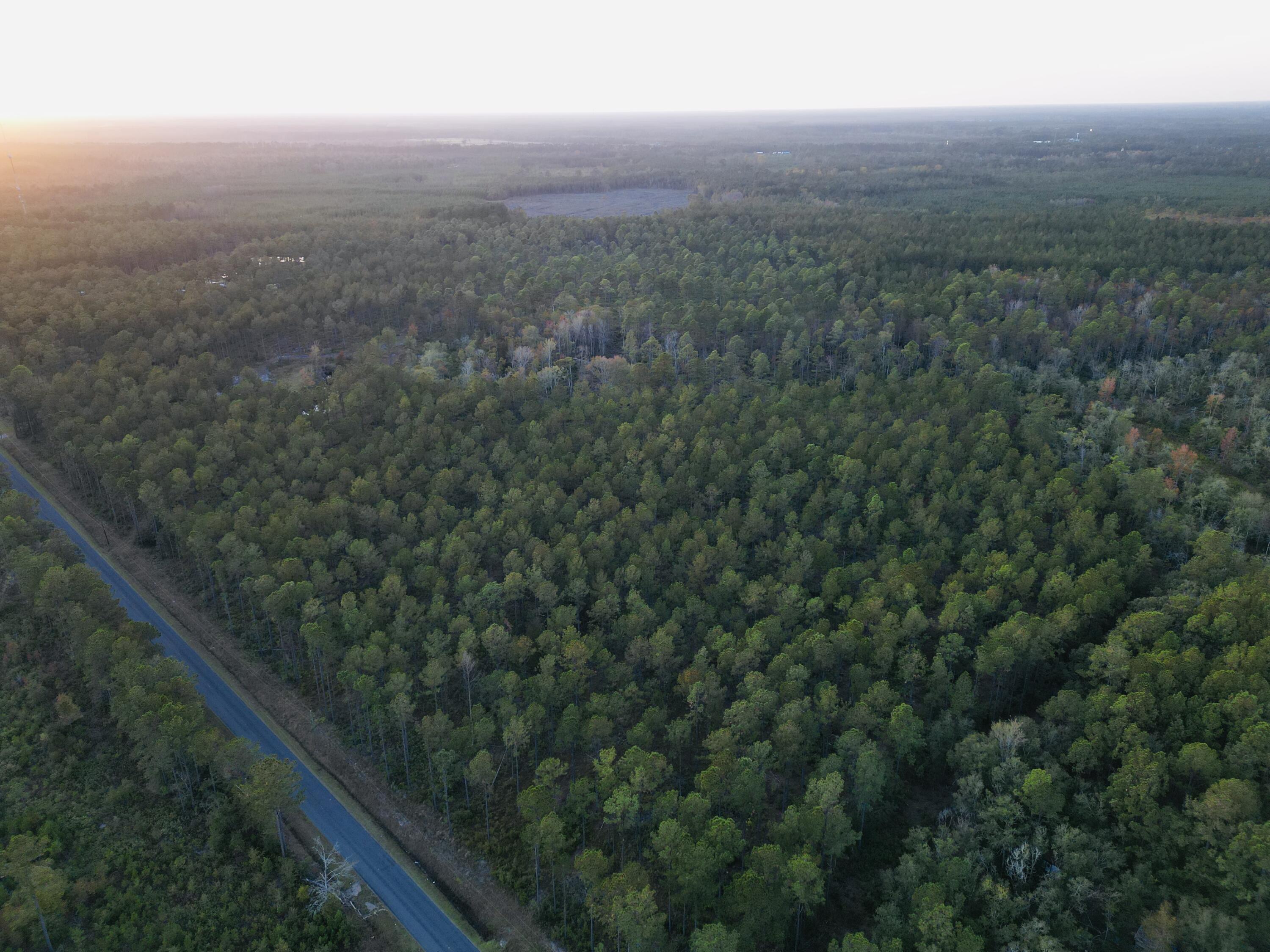 0 Peniel Road Walterboro, SC 29488 - Photo 1 of 15 17