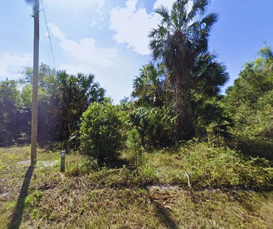 429 Birch Boulevard Georgetown, FL 32139 - Photo 1 of 6 a backyard of a house with lots of green space
