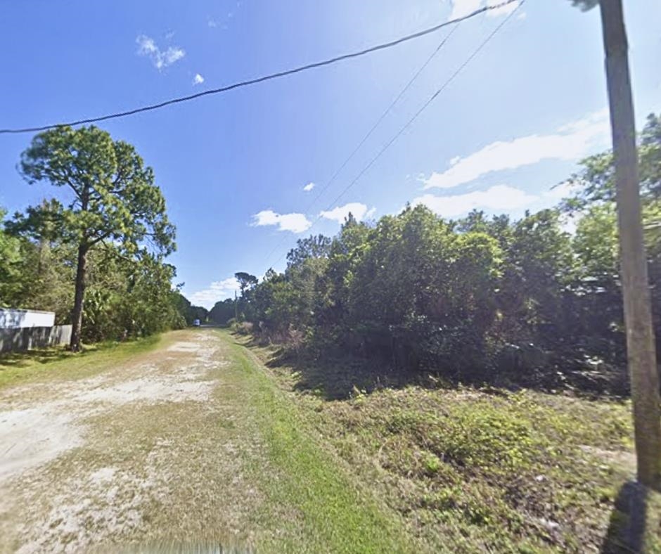429 Birch Boulevard Georgetown, FL 32139 - Photo 3 of 6 a view of a yard with potted plants