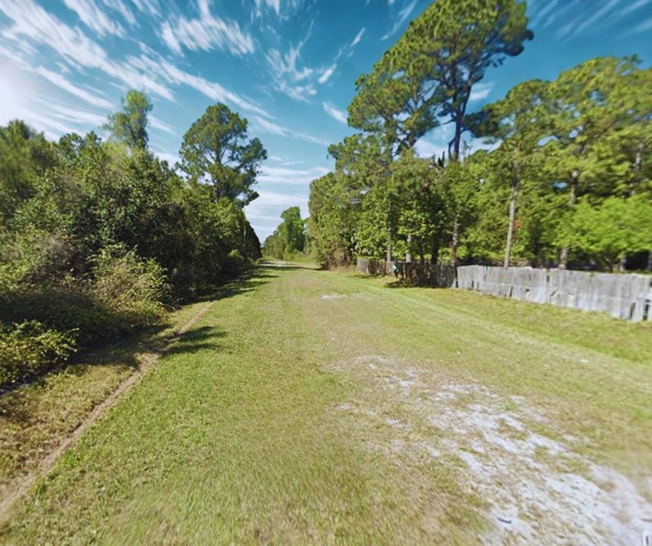 429 Birch Boulevard Georgetown, FL 32139 - Photo 4 of 6 a view of yard with green space