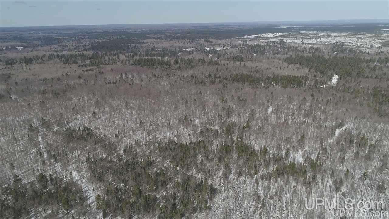240-acres Leek Road Covington, MI 49919 - Photo 44 of 50