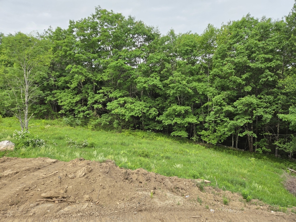 Lot 2 Petersham Road Petersham, MA 01366 - Photo 23 of 26