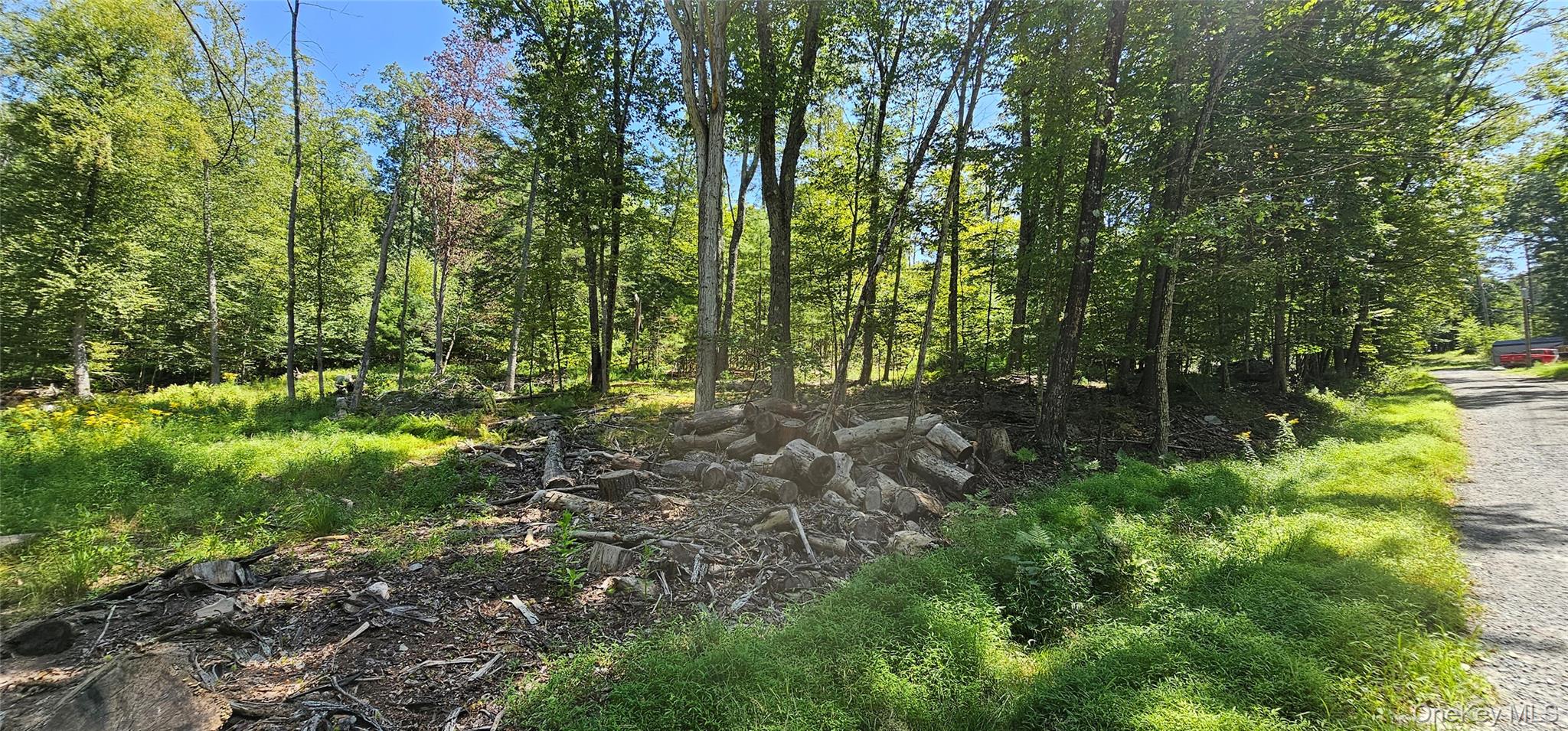 Lot 50 Deep Hollow Hill Road Narrowsburg, NY 12764 - Photo 11 of 17 a big yard with lots of green space and deers