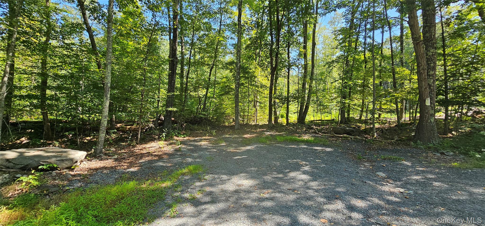 Lot 50 Deep Hollow Hill Road Narrowsburg, NY 12764 - Photo 12 of 17 a view of backyard with green space