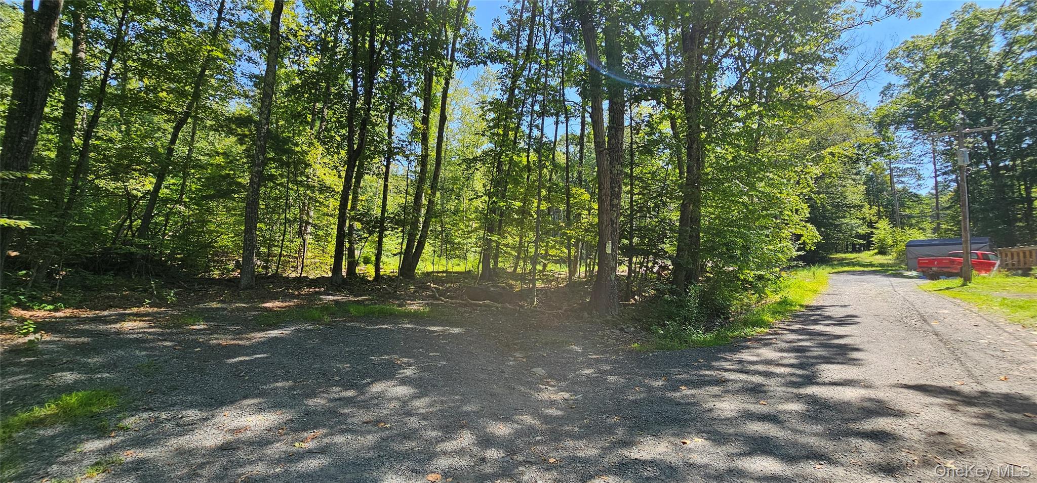 Lot 50 Deep Hollow Hill Road Narrowsburg, NY 12764 - Photo 13 of 17