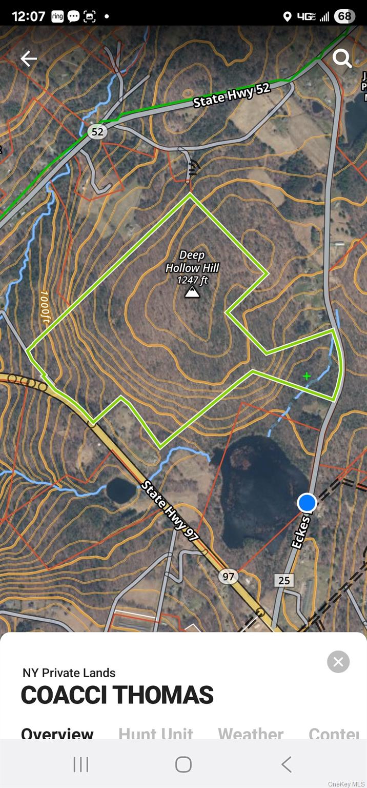 Lot 50 Deep Hollow Hill Road Narrowsburg, NY 12764 - Photo 17 of 17 a picture of a tennis court