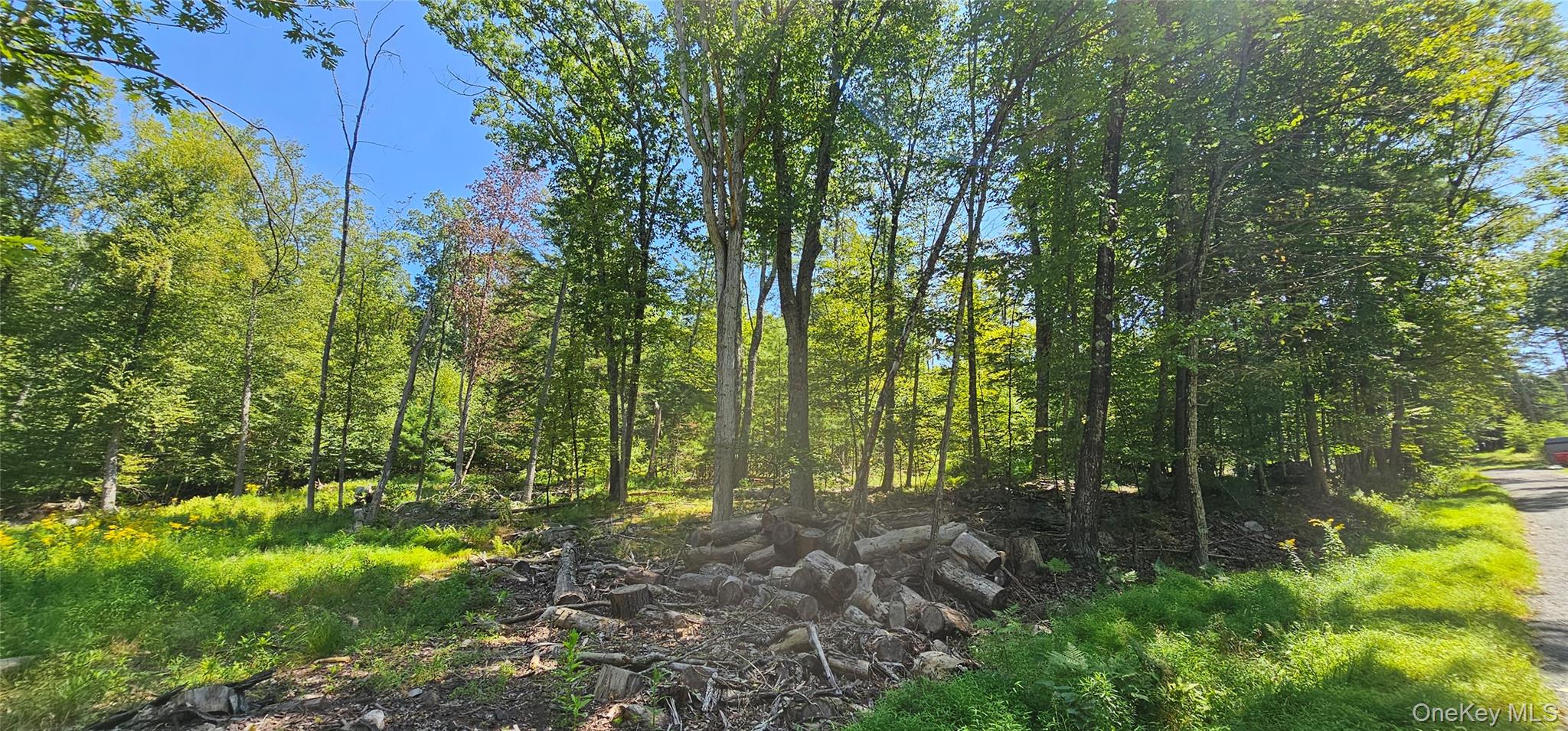 Lot 50 Deep Hollow Hill Road Narrowsburg, NY 12764 - Photo 2 of 17 a view of outdoor space and garden