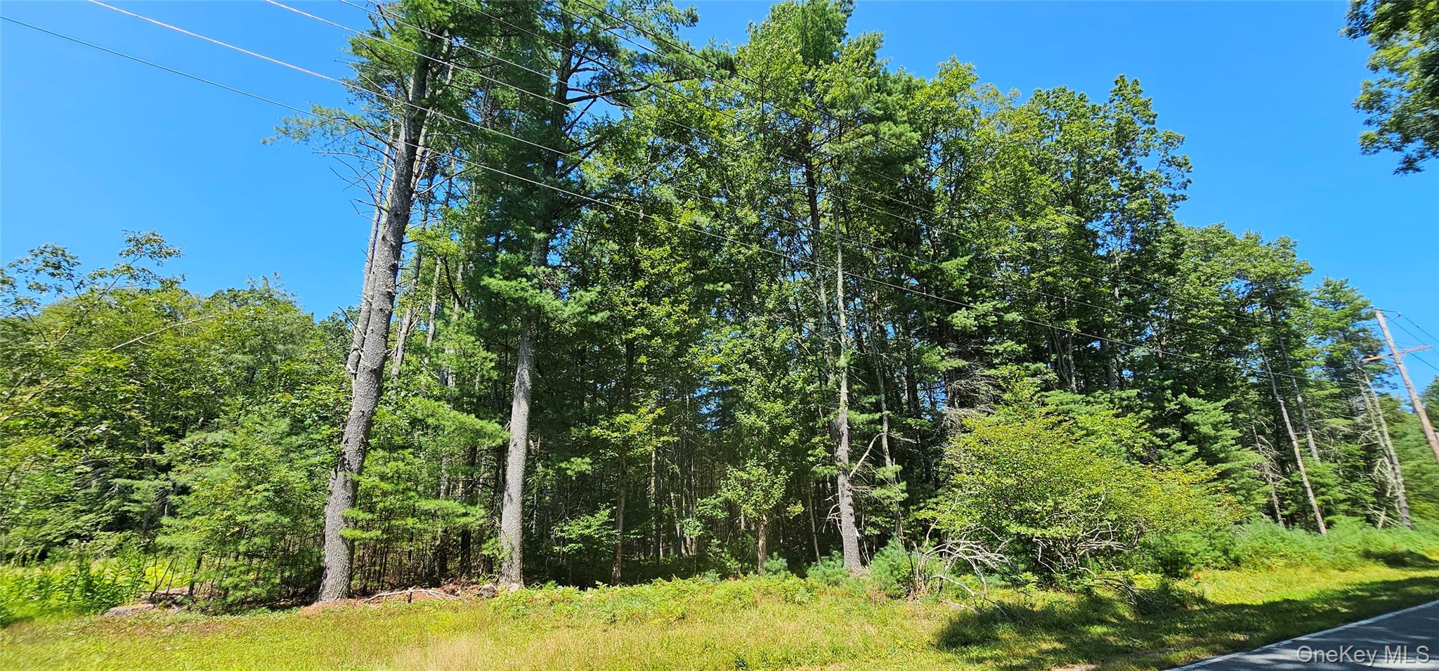 Lot 50 Deep Hollow Hill Road Narrowsburg, NY 12764 - Photo 3 of 17 a view of a yard