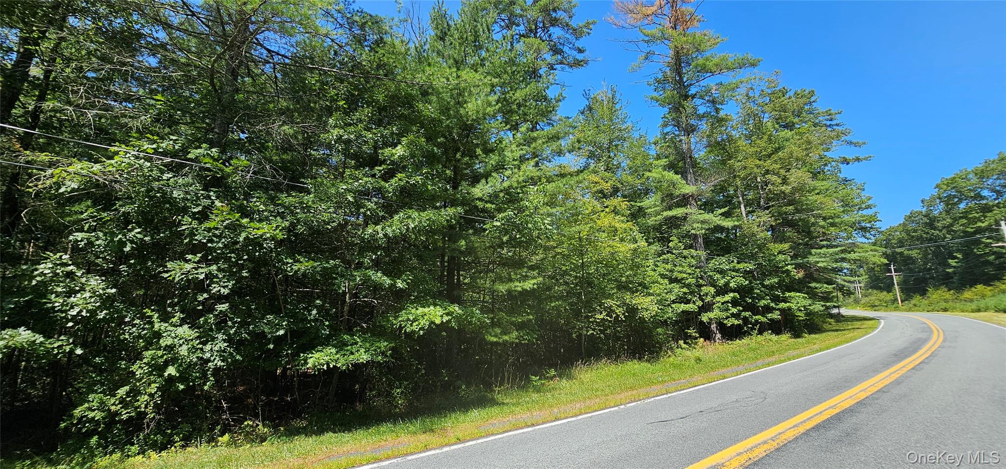 Lot 50 Deep Hollow Hill Road Narrowsburg, NY 12764 - Photo 4 of 17 a view of a yard with a tree