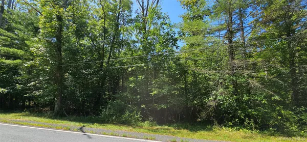 a view of a yard with a trees