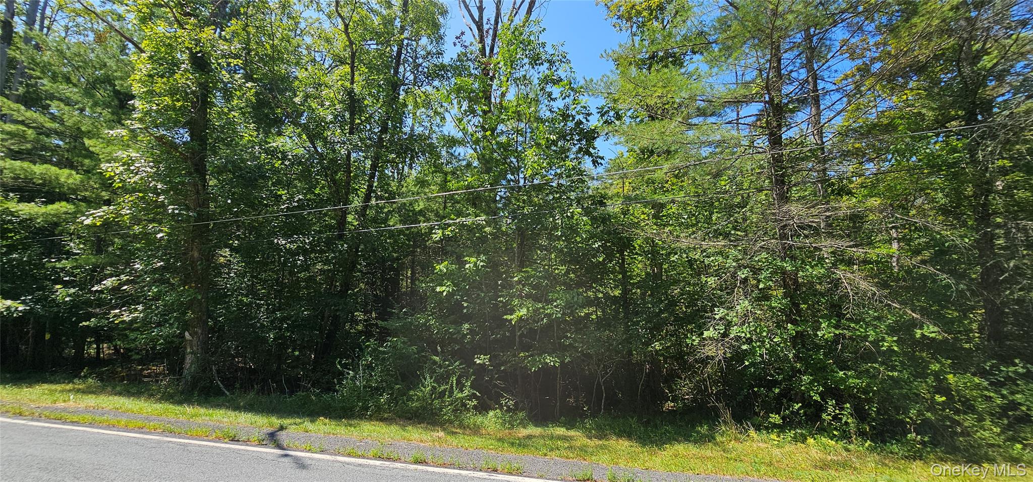 Lot 50 Deep Hollow Hill Road Narrowsburg, NY 12764 - Photo 5 of 17 a view of a yard with a trees
