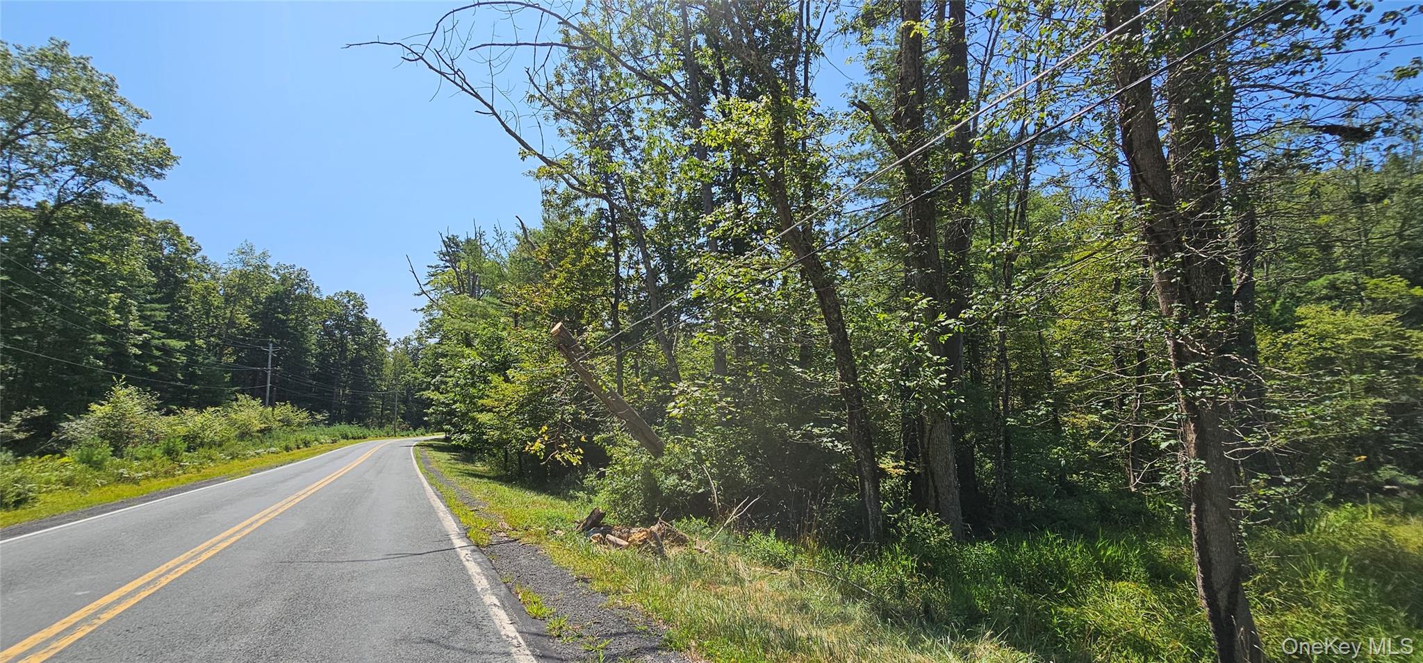 Lot 50 Deep Hollow Hill Road Narrowsburg, NY 12764 - Photo 6 of 17 a view of a garden