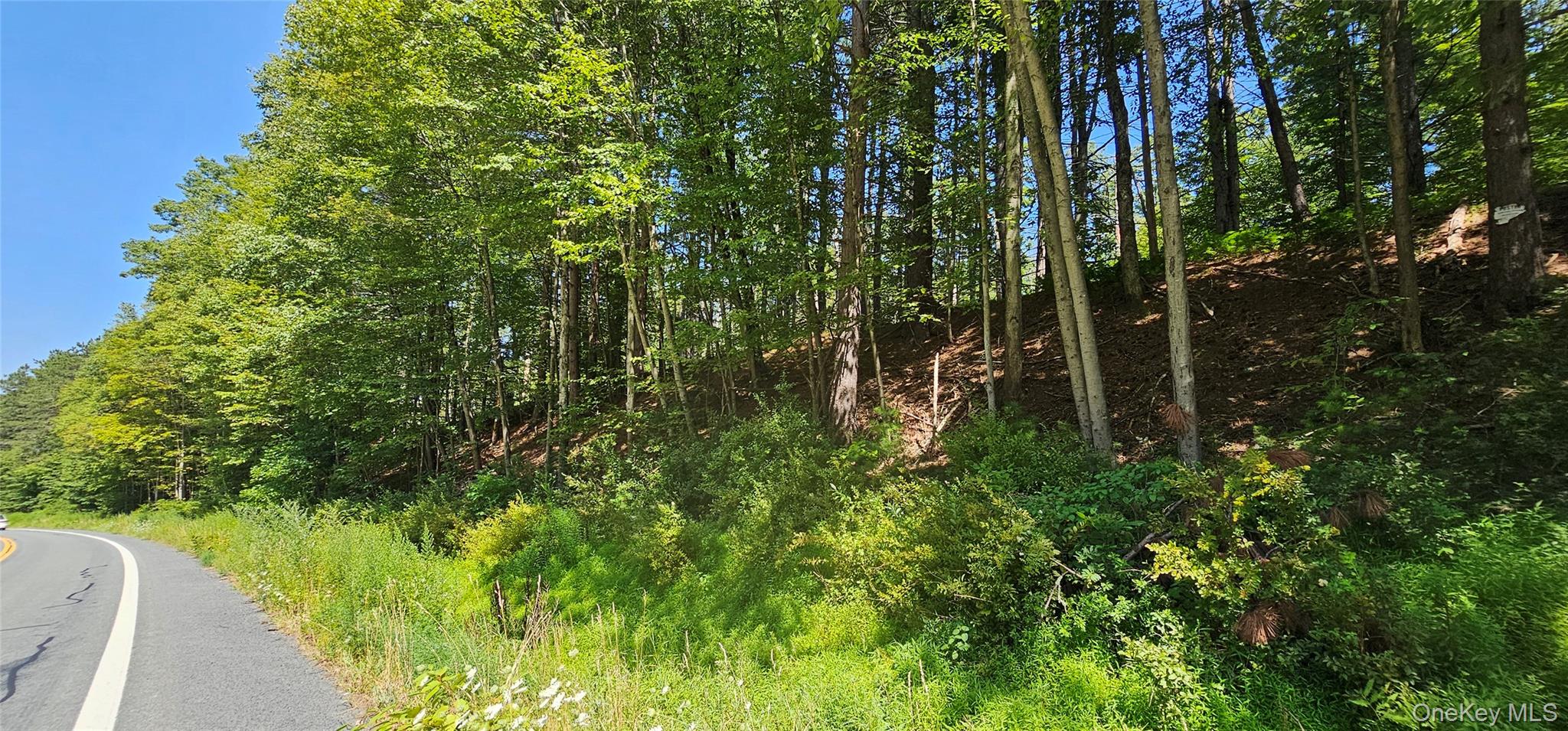 Lot 50 Deep Hollow Hill Road Narrowsburg, NY 12764 - Photo 7 of 17 a view of a garden