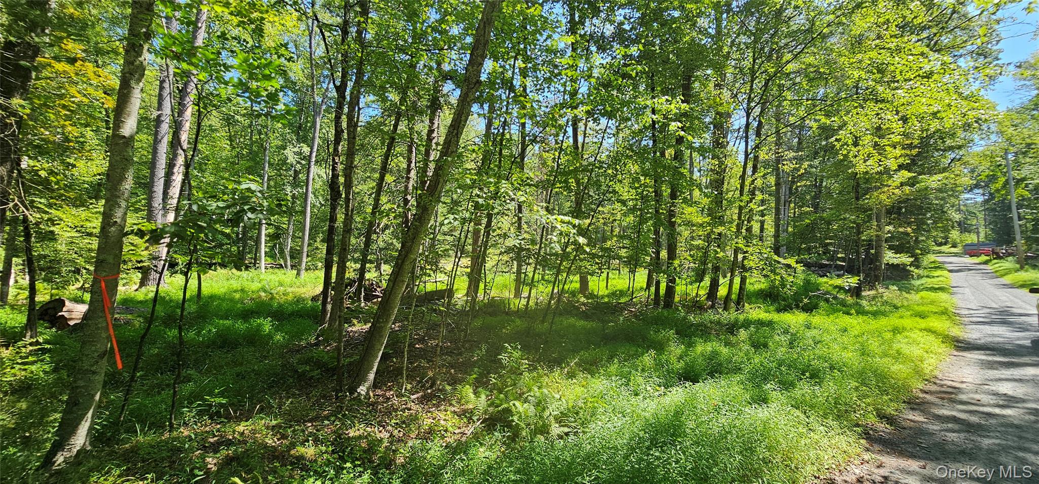 Lot 50 Deep Hollow Hill Road Narrowsburg, NY 12764 - Photo 9 of 17 a backyard of a house with lots of green space