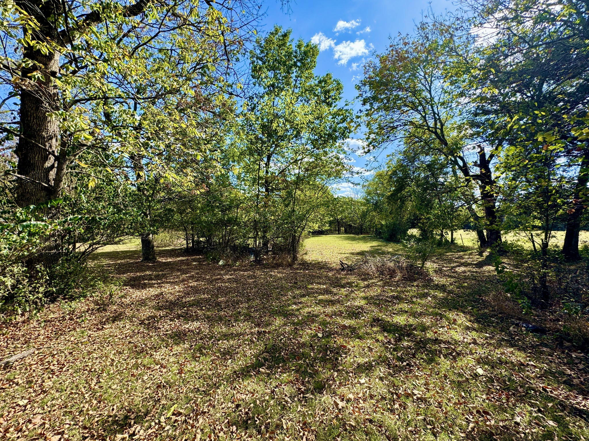 2061 Kidd Road Nolensville, TN 37135 - Photo 6 of 10 Explore the possibilities for gardening, hiking, or simply enjoying the tranquility of the wooded surroundings.2061 Kidd Rd Nolensville, TN 37135