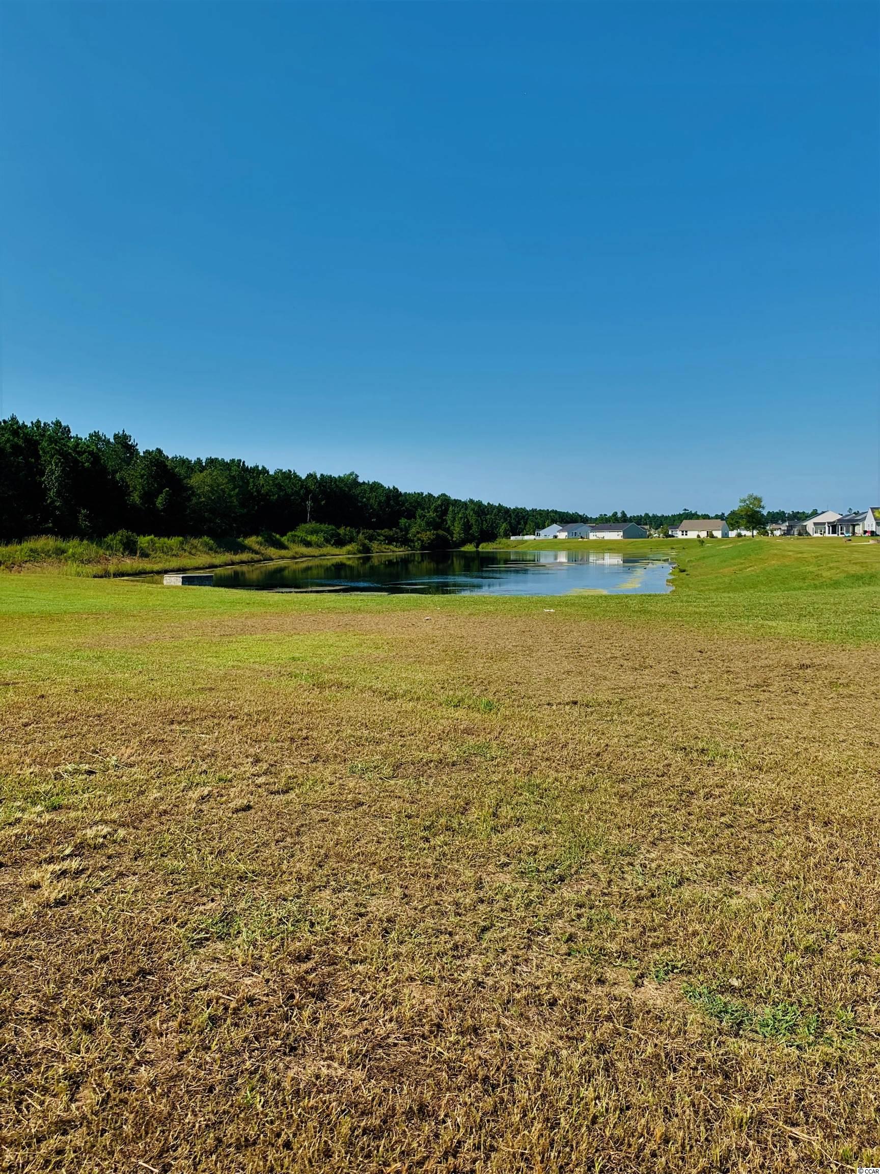 1504 Leatherman Road Conway, SC 29527 - Photo 4 of 25 Gallery Image 4