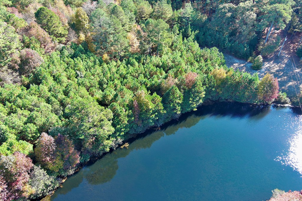 Lot 131 Metompkin Road, Unit 131 Parksley, VA 23421 - Photo 4 of 12