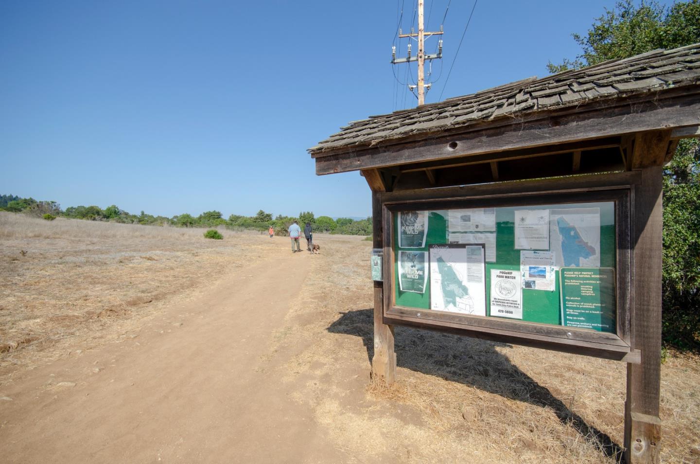 41 Grandview Street, Unit 1204 Santa Cruz, CA 95060 - Photo 25 of 32 a backyard of a house with a yard and outdoor seating