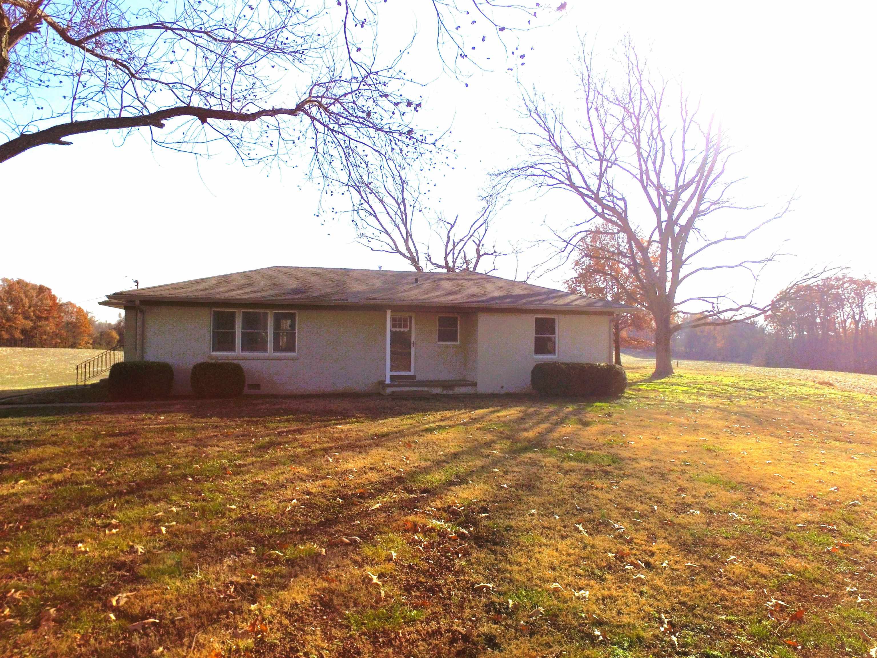3637 Lightfoot Luckett Road Ripley, TN 38063 - Photo 1 of 25 a view of a yard in front of a house with large tree
