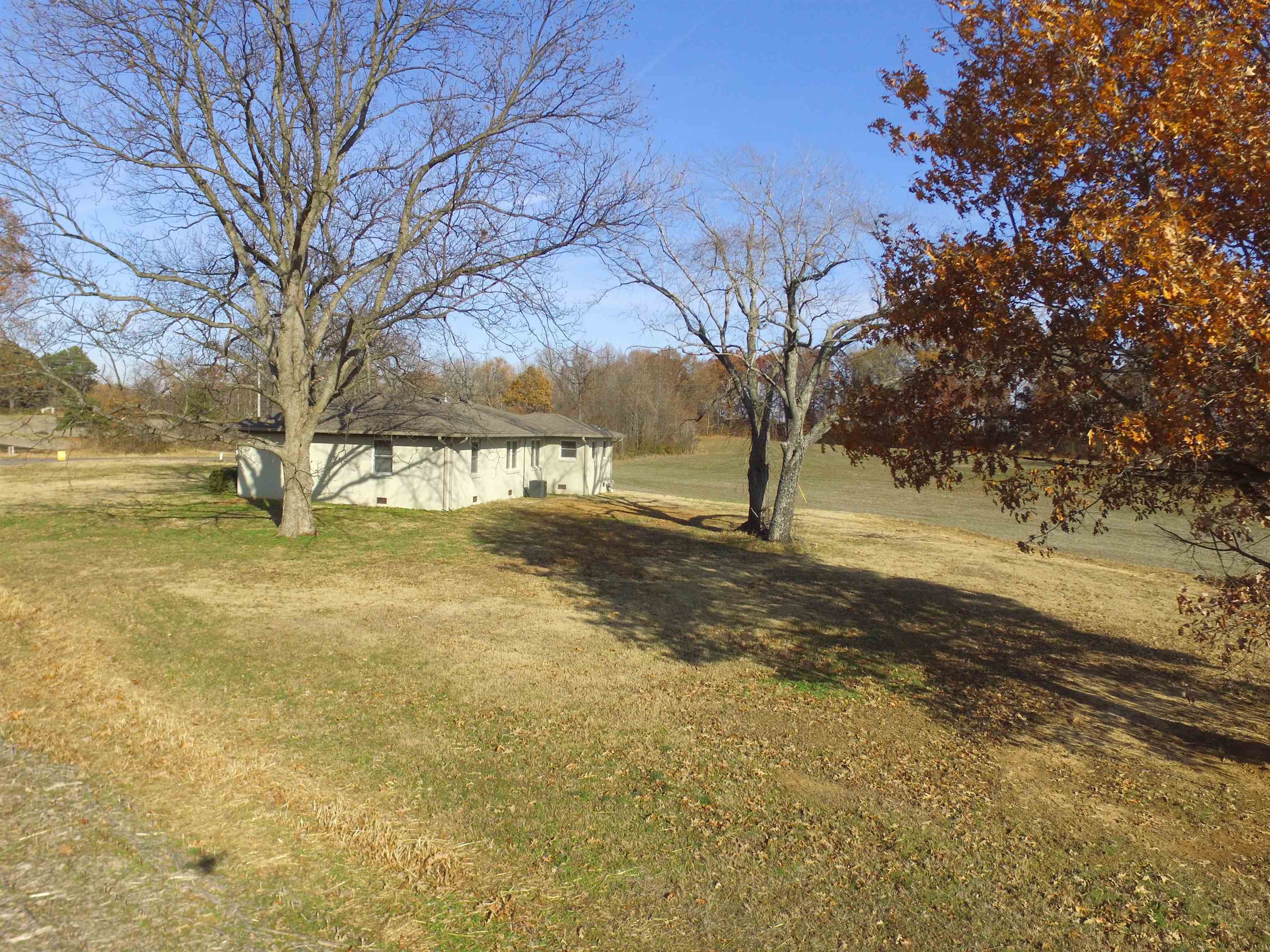 3637 Lightfoot Luckett Road Ripley, TN 38063 - Photo 2 of 25 a view of yard with trees