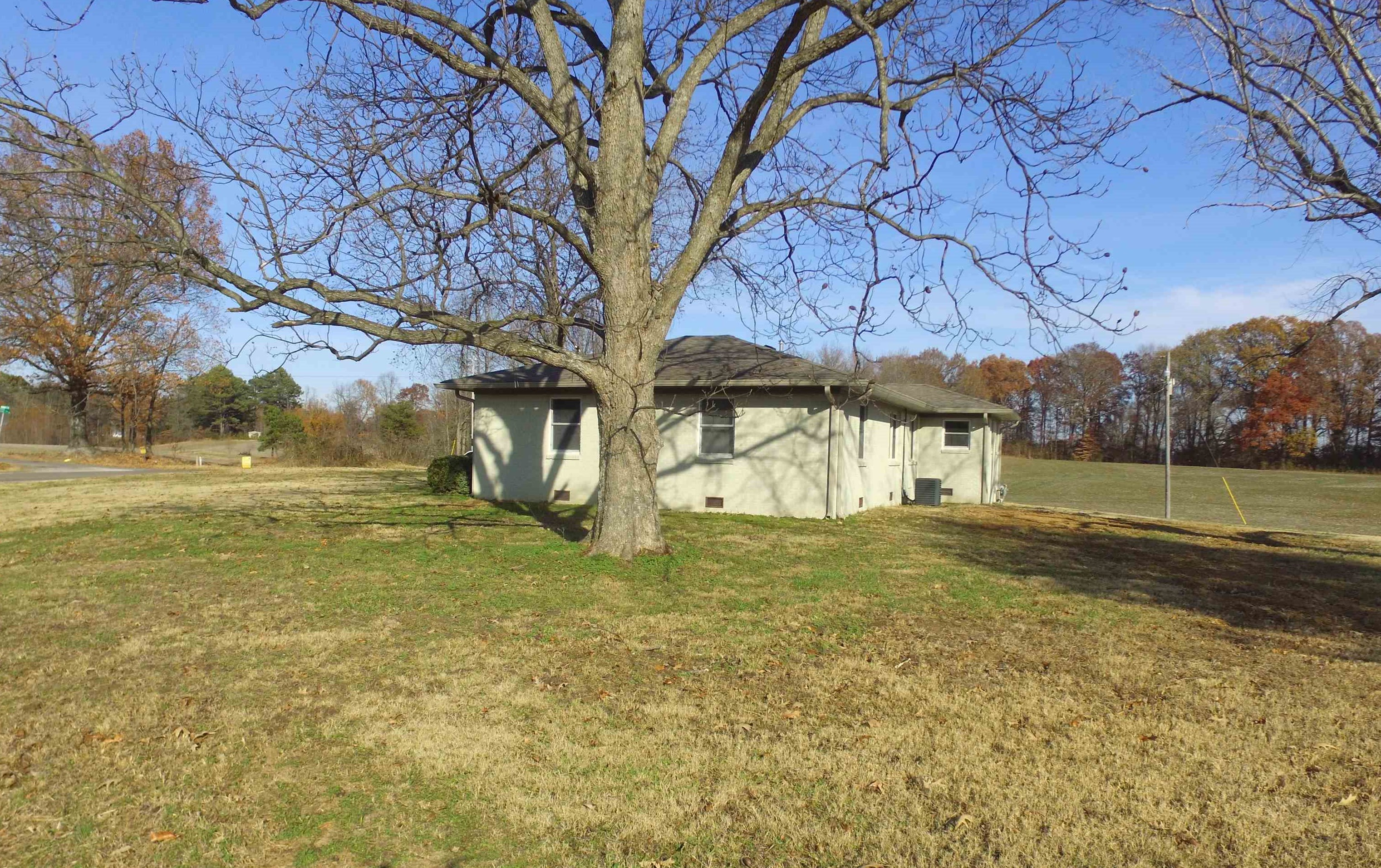 3637 Lightfoot Luckett Road Ripley, TN 38063 - Photo 3 of 25 a view of a yard with a tree