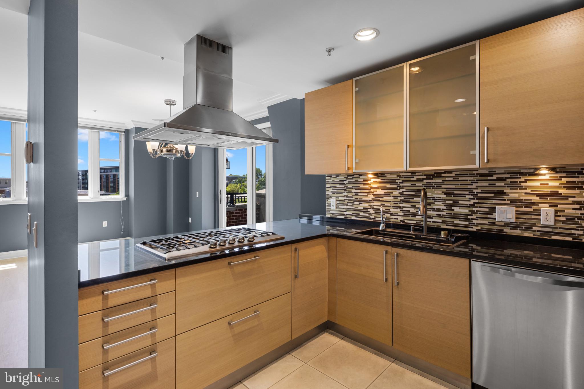 801 Key Highway, Unit P64 Baltimore, MD 21230 - Photo 14 of 52 Gourmet Kitchen with Viking Appliances