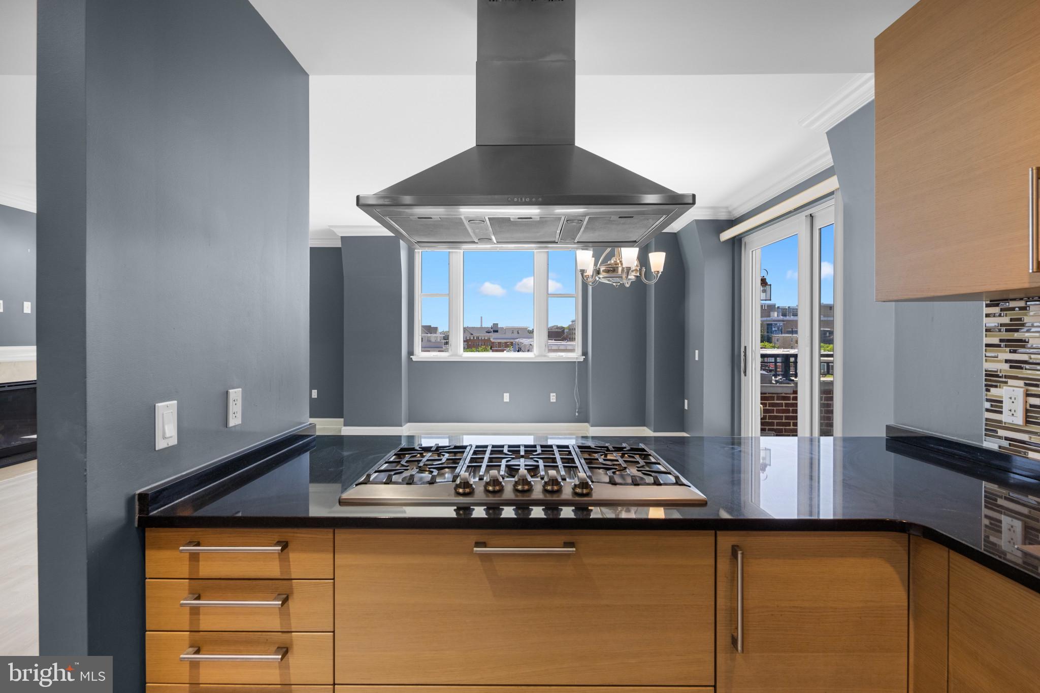 801 Key Highway, Unit P64 Baltimore, MD 21230 - Photo 15 of 52 Gourmet Kitchen with Viking Appliances