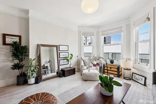 a living room with furniture potted plant and windows