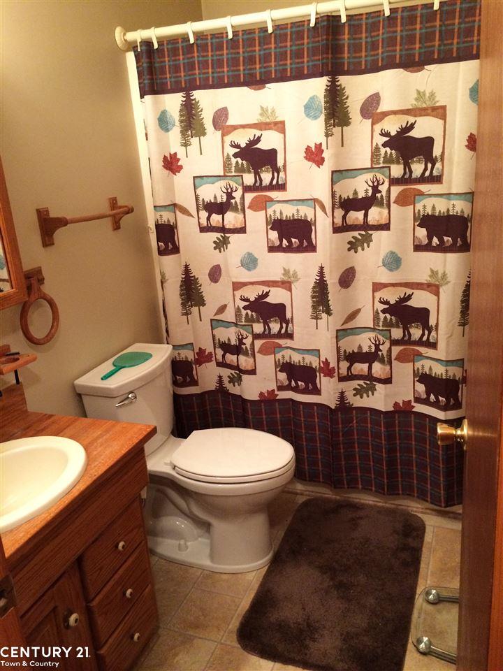 3687 Joy Road Metamora, MI 48455 - Photo 10 of 42