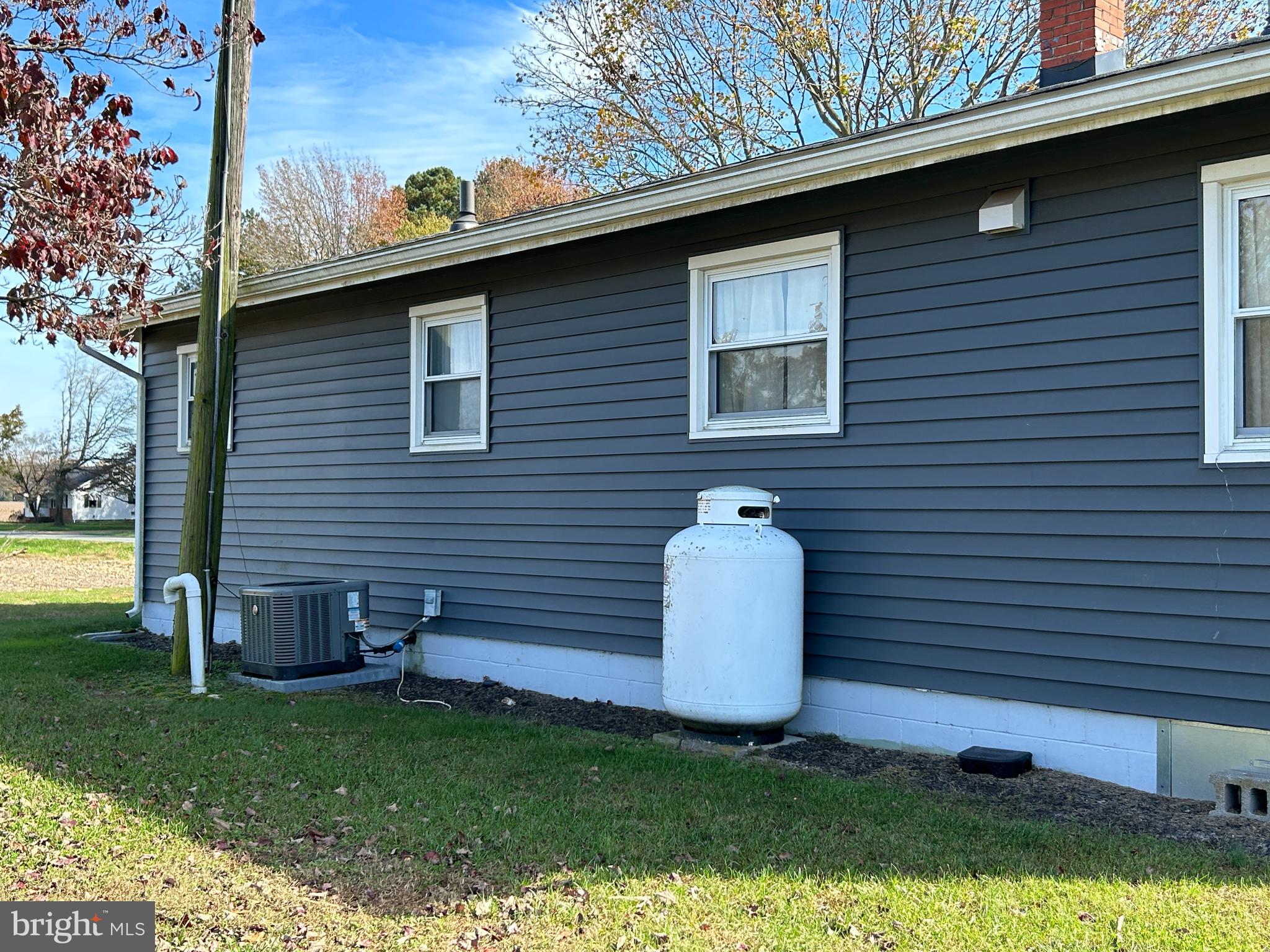 677 Carpenter Bridge Road Harrington, DE 19952 - Photo 29 of 42 Propane Tank location