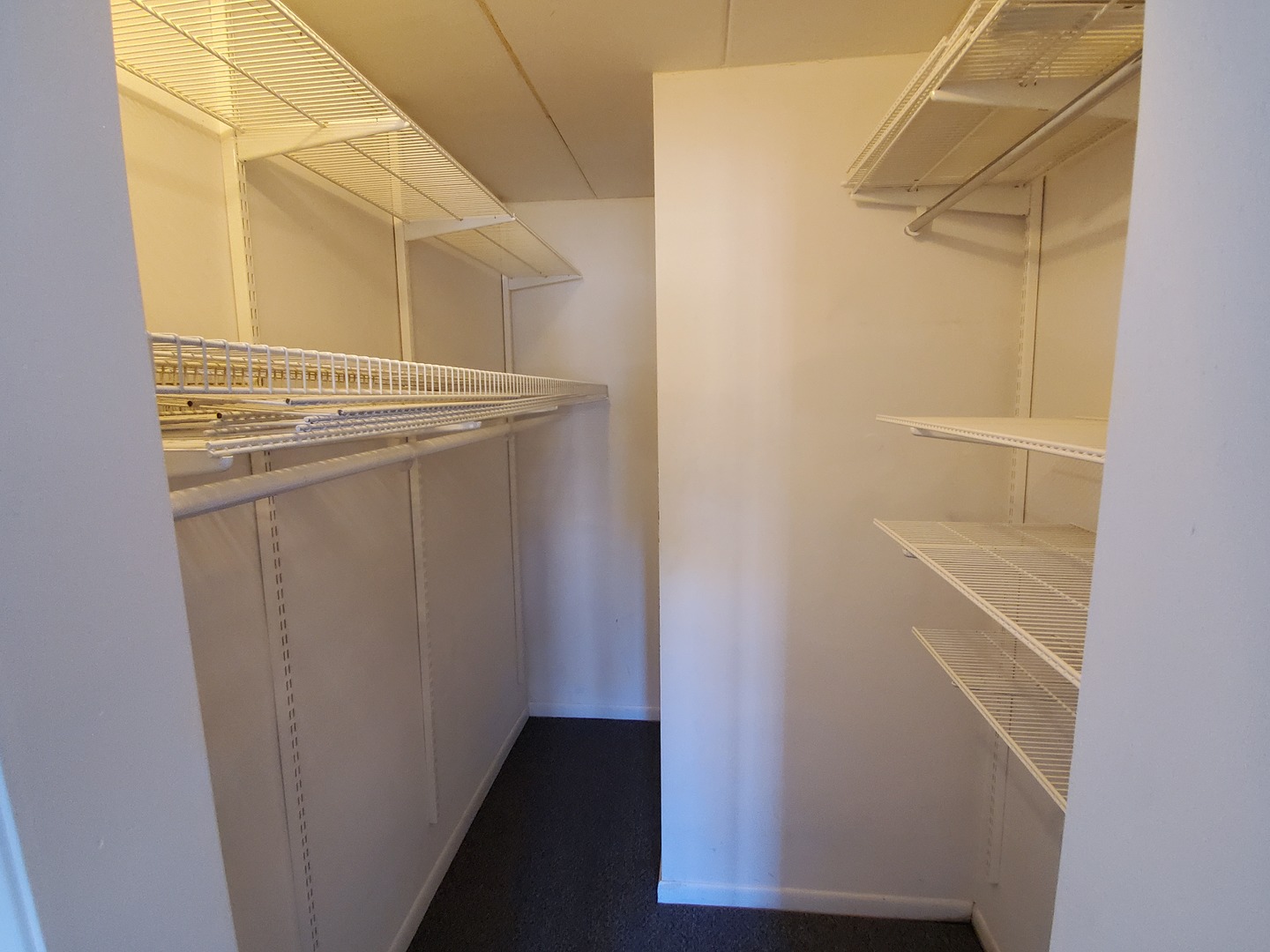 659 South River Road, Unit 5C Des Plaines, IL 60016 - Photo 24 of 24 a view of walk in closet