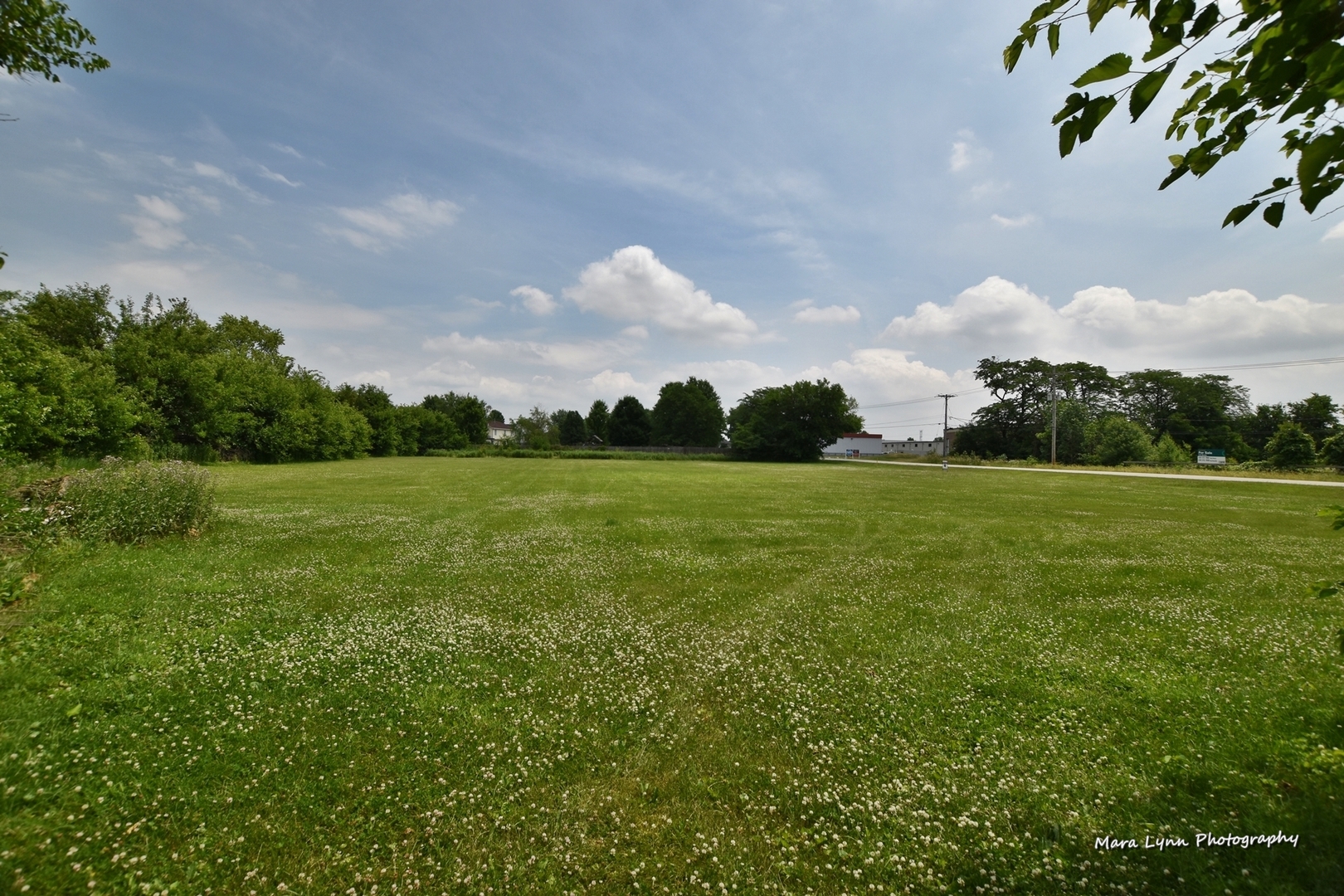 25636 West Wolfs Road Plainfield, IL 60585 - Photo 2 of 39