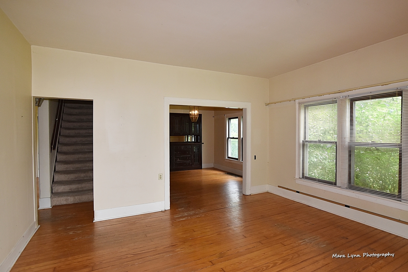 25636 West Wolfs Road Plainfield, IL 60585 - Photo 11 of 39