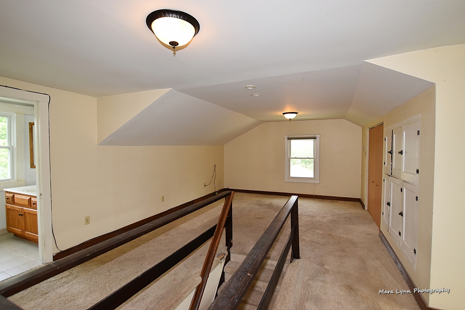 25636 West Wolfs Road Plainfield, IL 60585 - Photo 21 of 39
