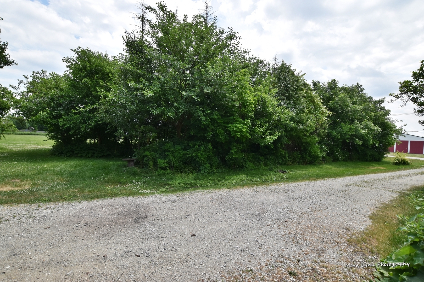 25636 West Wolfs Road Plainfield, IL 60585 - Photo 26 of 39