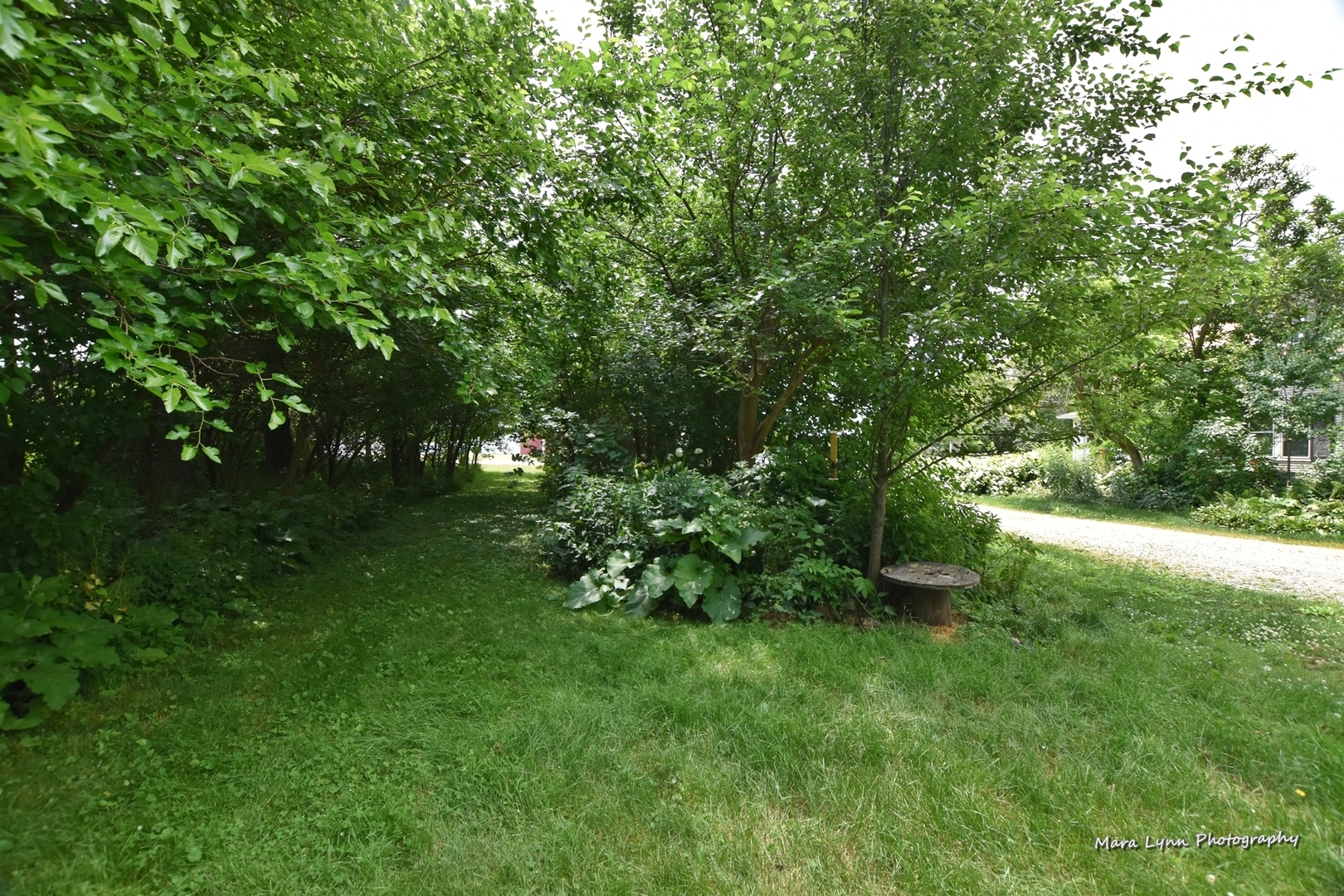 25636 West Wolfs Road Plainfield, IL 60585 - Photo 30 of 39