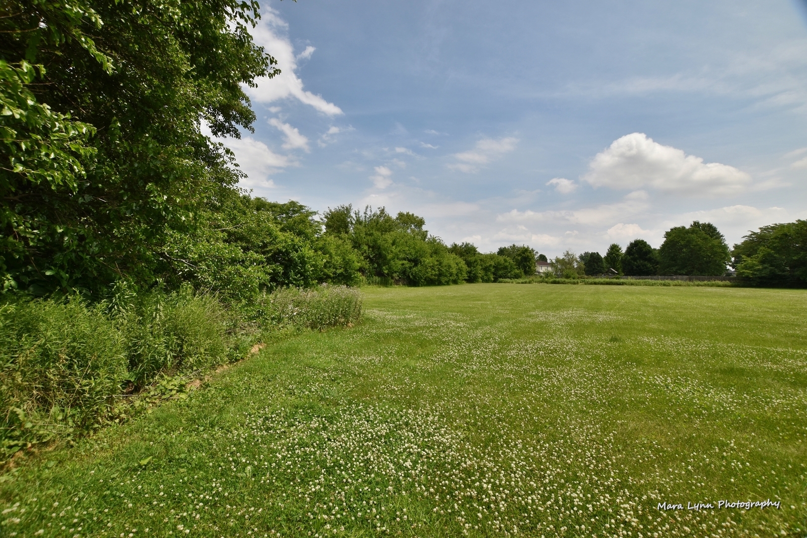 25636 West Wolfs Road Plainfield, IL 60585 - Photo 32 of 39