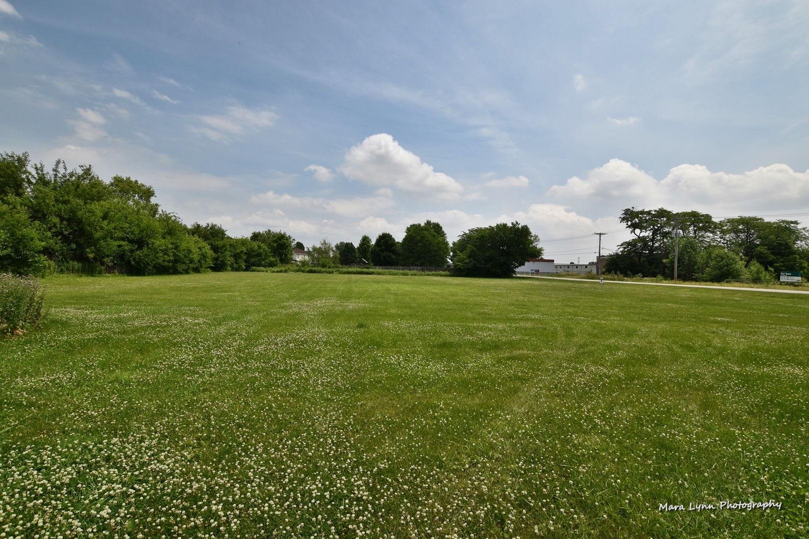 25636 West Wolfs Road Plainfield, IL 60585 - Photo 33 of 39